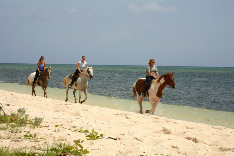 beach-ride